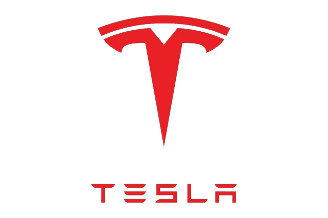 Noleggio Lungo Termine Tesla
